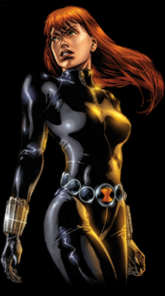 bwidow.jpg (8857 bytes)