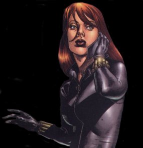 bwidow2.jpg (11662 bytes)