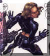 widow13