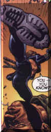 widow16