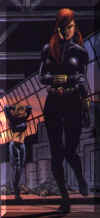 widow17