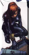 widow20