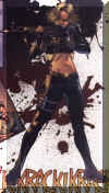 widow23