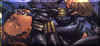 widow24