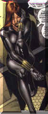 widow29