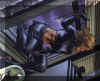 widow32