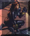 widow8